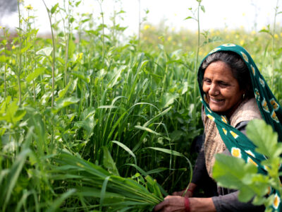 Savita grows maize on her family farm.